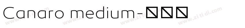 Canaro medium字体转换